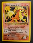 Blaine's Growlithe