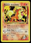 Blaine's Growlithe