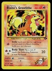 Blaine's Growlithe