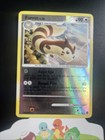 Furret