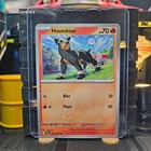 Houndour