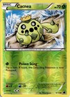 Cacnea