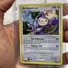 Ambipom