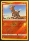 Houndour