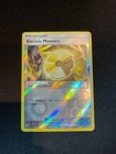 Electric Memory