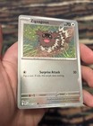 Zigzagoon