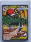 Mega Lucario ex