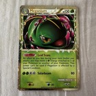 Meganium