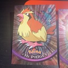 Pidgeotto
