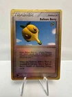 Balloon Berry