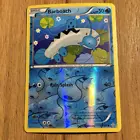 Barboach
