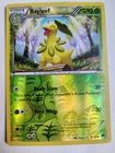 Bayleef