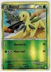 Bayleef