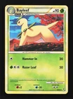 Bayleef