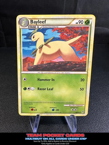 Bayleef