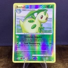 Bayleef