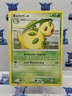 Bayleef