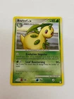 Bayleef