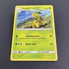 Bayleef