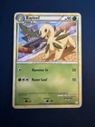 Bayleef