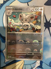 Cinccino