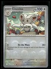 Cinccino