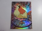 Pidgey