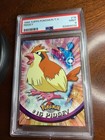 Pidgey