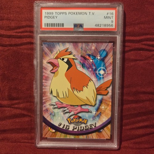 Pidgey