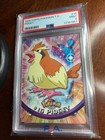 Pidgey
