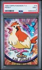 Pidgey