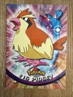 Pidgey