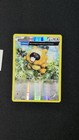 Bidoof