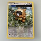 Bidoof