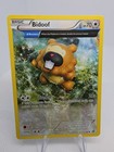Bidoof