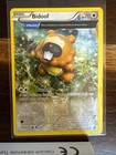 Bidoof