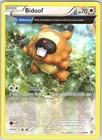 Bidoof