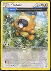 Bidoof