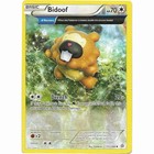 Bidoof