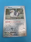 Pidove