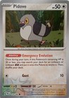 Pidove