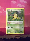 Turtwig