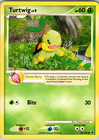 Turtwig