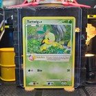 Turtwig