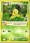 Turtwig