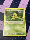 Turtwig