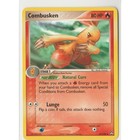 Combusken