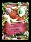 Florges EX