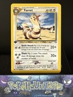 Furret