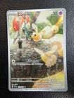 Cutiefly